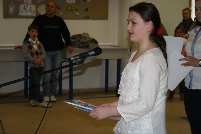 Megyei helyesírási verseny